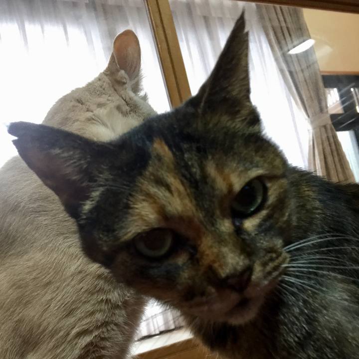 5d5ba92a 674f 4e60 93cb e820869ac074 1577772002887