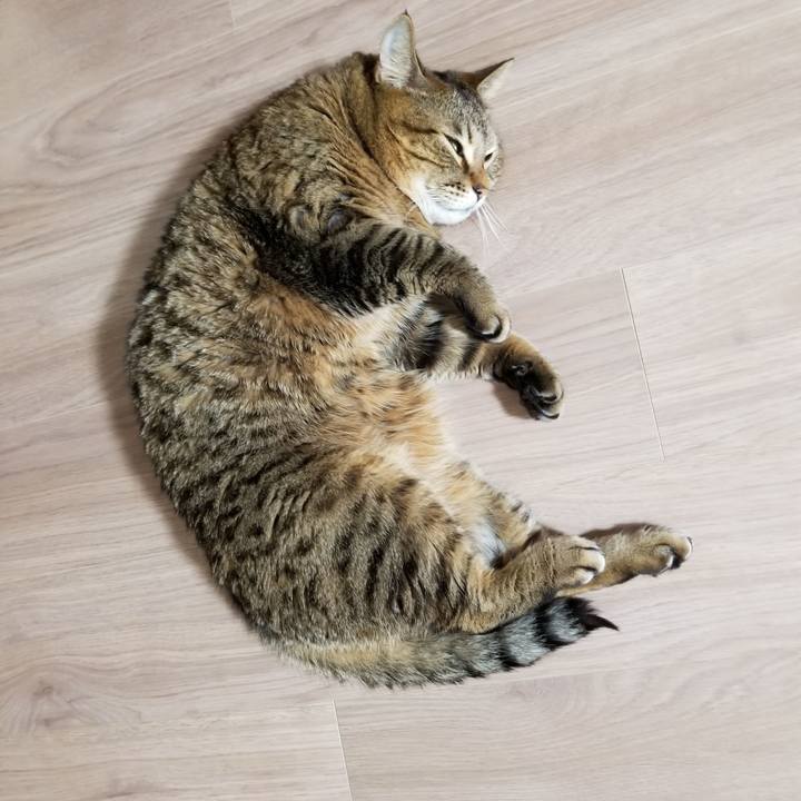 5d5bf93f 9d77 4ec1 85c2 171b89a254a0 1610396872986