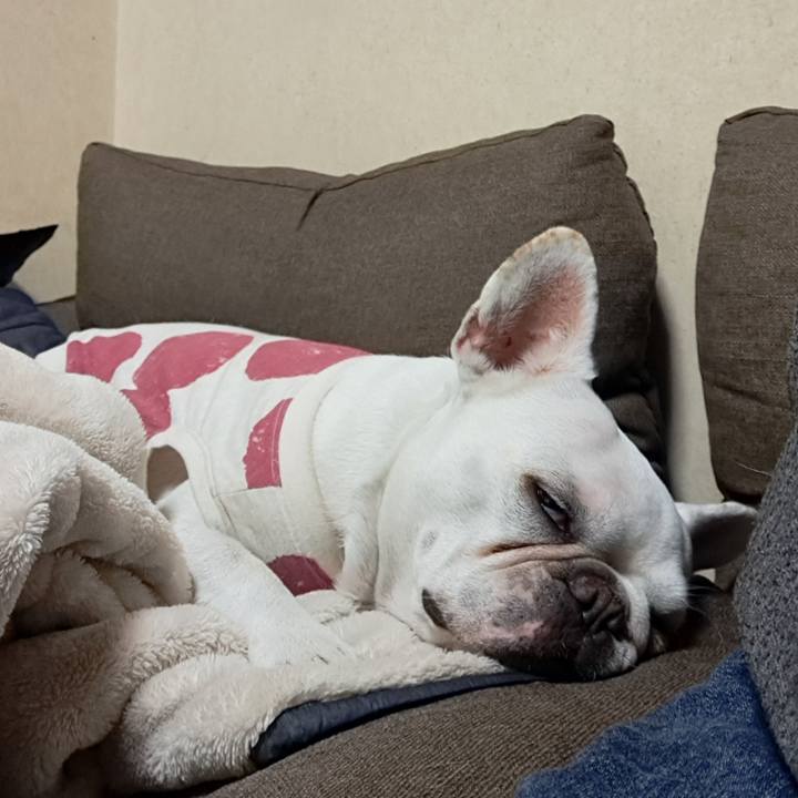 5d5c2d42 1b8c 468a a4b6 9f090234e3d8 1710715795056