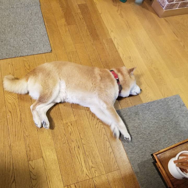 5d5c3859 ccdf 4c99 9e3d fa09cad111d9 1746340436051