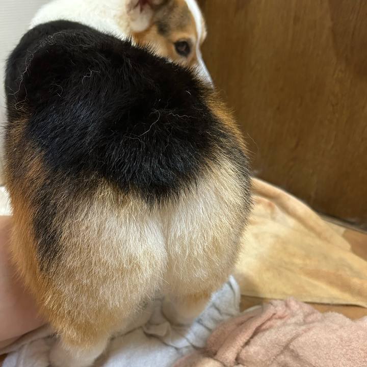 5d5c4d5a e9e2 4d5b 8181 1787ff0c4604 1767089044717