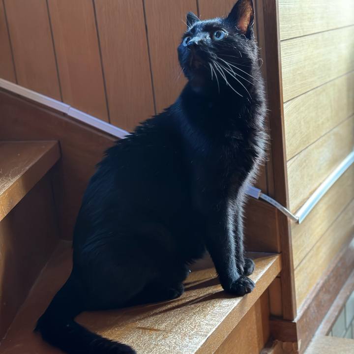 5d5c56e6 173e 42dd 9041 1b3847afc467 1694135912248