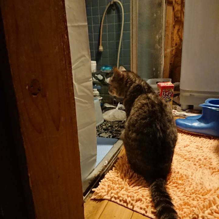 5d5c6bcf 2c38 4d55 978a f4b6c692c196 1591007067706