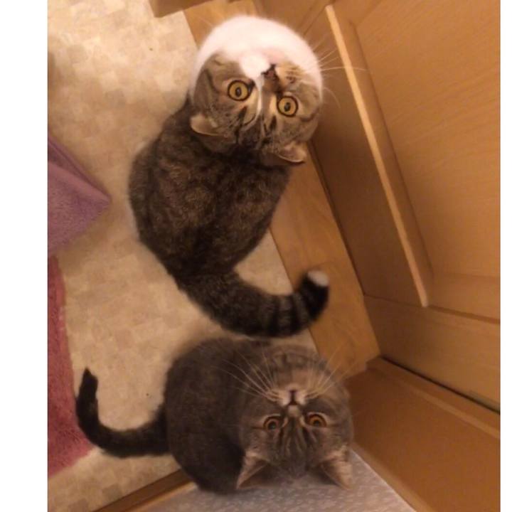 5d5c9494 8a62 4ff5 b159 508710b3b7d4 1523201693912