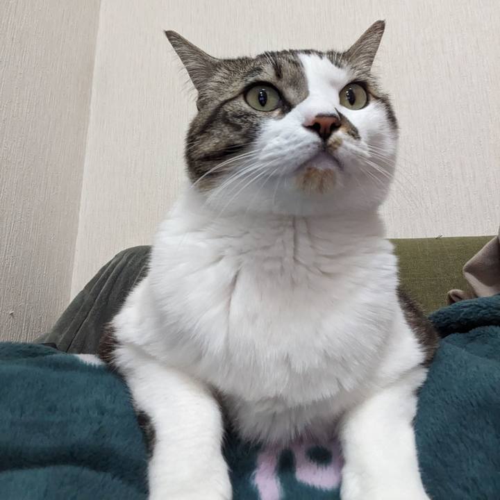 5d5cb874 495d 4b86 9199 1dbe2e32de86 1708930503116