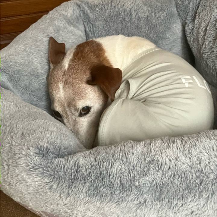 5d5ce0a5 65b9 4f50 ba44 837ed0e59446 1764108772750