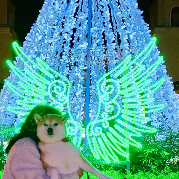 5d5cf64d 033a 4768 888f 66abff9664e0 1574591465982