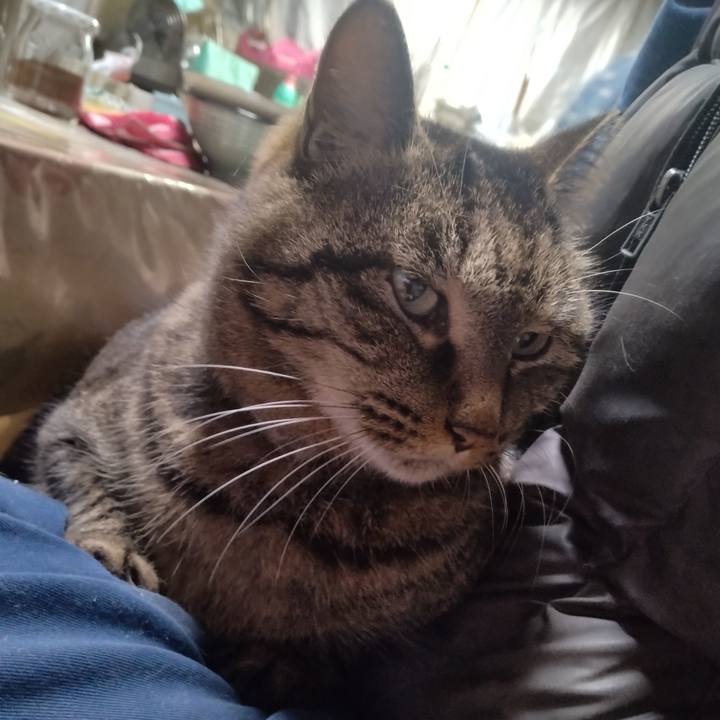 5d5d0a31 f602 480b 9f44 ce4ddf16f9d5 1707126295310