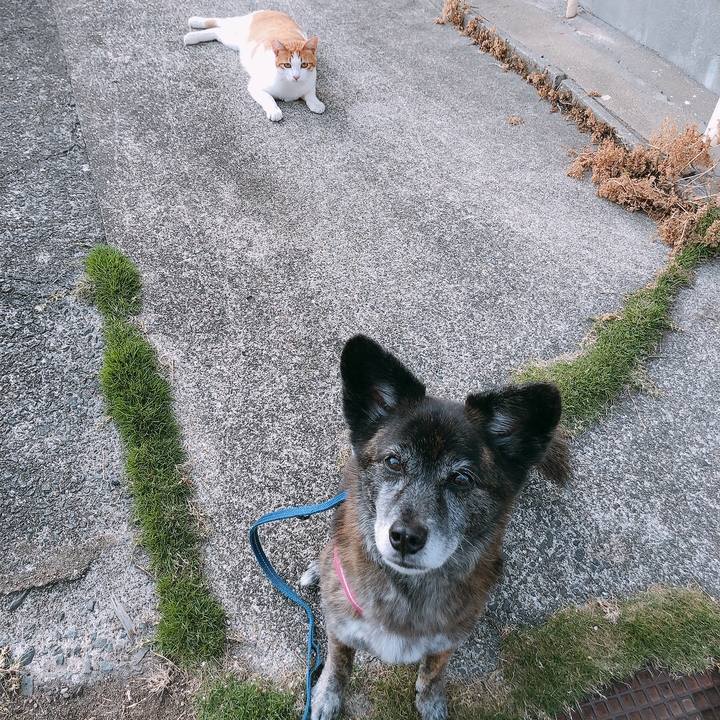 5d5d0f40 44d0 4800 84d7 3342eb55142c 1654333444941