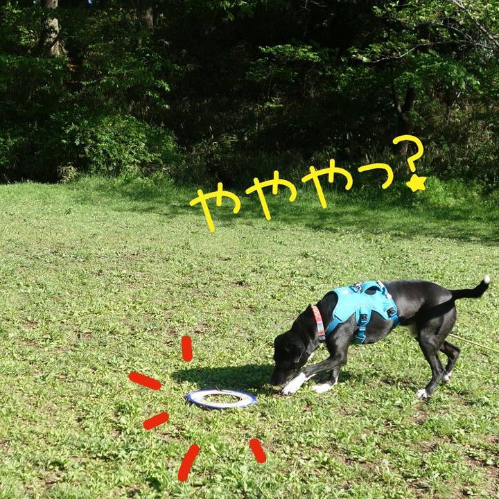 5d5d19d2 3e54 4aa0 aada 4ab0ff3e65b5 1618451695209