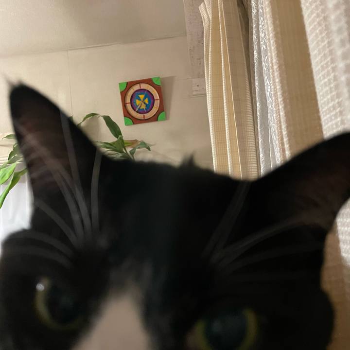 5d5d3cbe a375 4aca 8d7a 6690f8779955 1707485963157