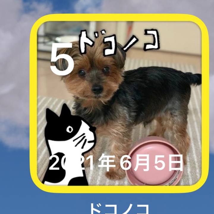 5d5d6299 087f 4e74 8836 246c5e1edb24 1685957609284