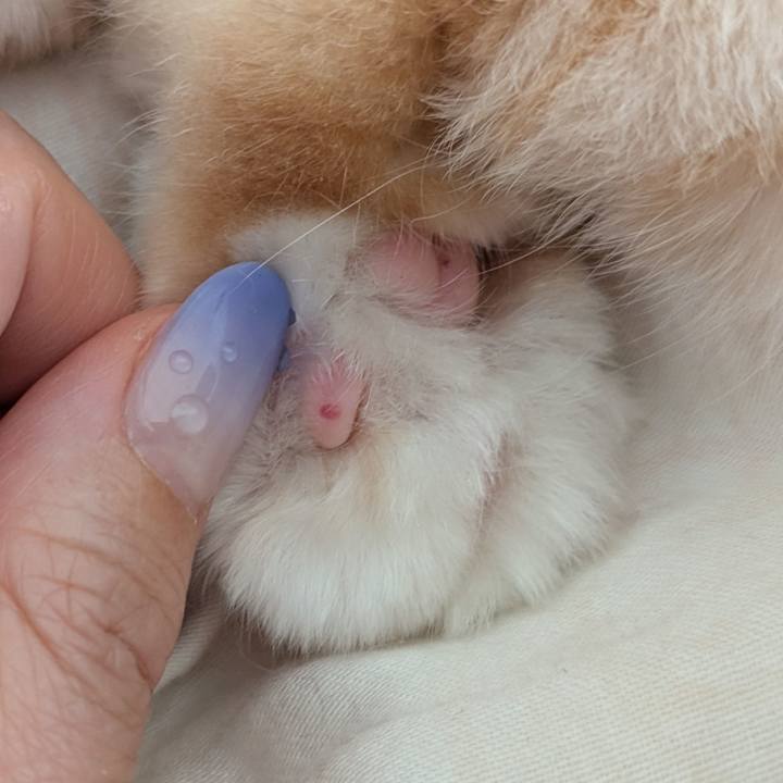 5d5dd5b0 98c4 479b 896d 56cb75191a8c 1747353115991