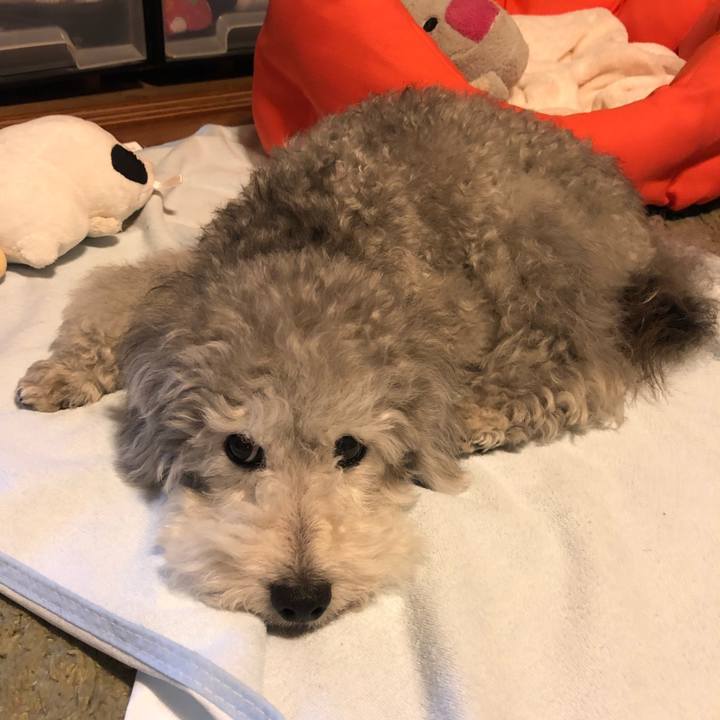 5d5de10a 0c3c 4634 bff1 1e415045ef58 1527676112734