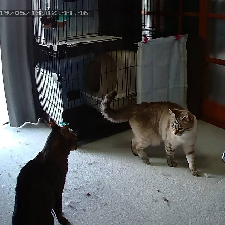 5d5de5ca 29f0 48a0 9c7e a0ebfaa7dc74 1557719247231