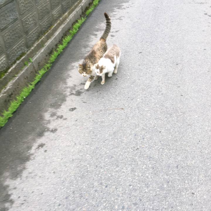 5d5dee56 9e56 405c b56a 0ec58ac741a5 1523262308485