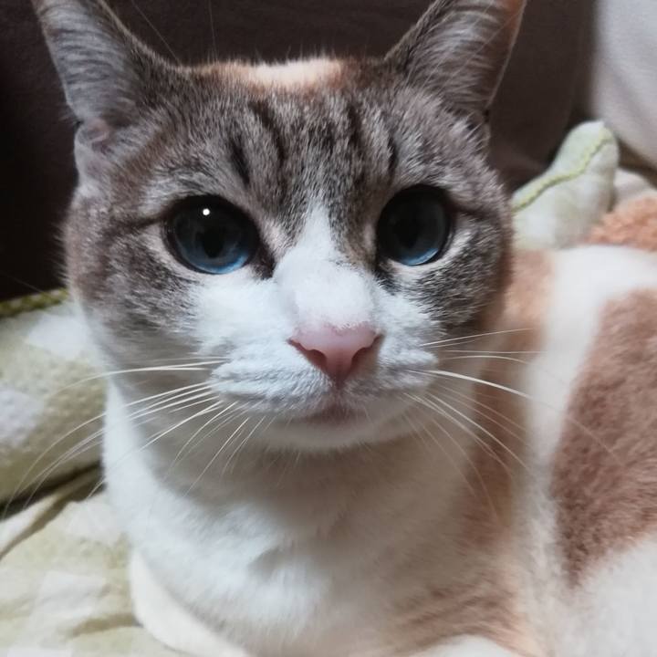 5d5e058d 1576 4d9e b8d3 97dd11a68d6c 1585736246967