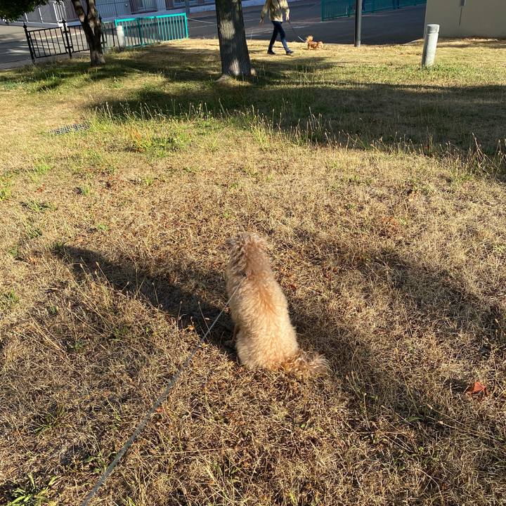 5d5e106b 651b 43bc a92c 172812d893dc 1627444534891