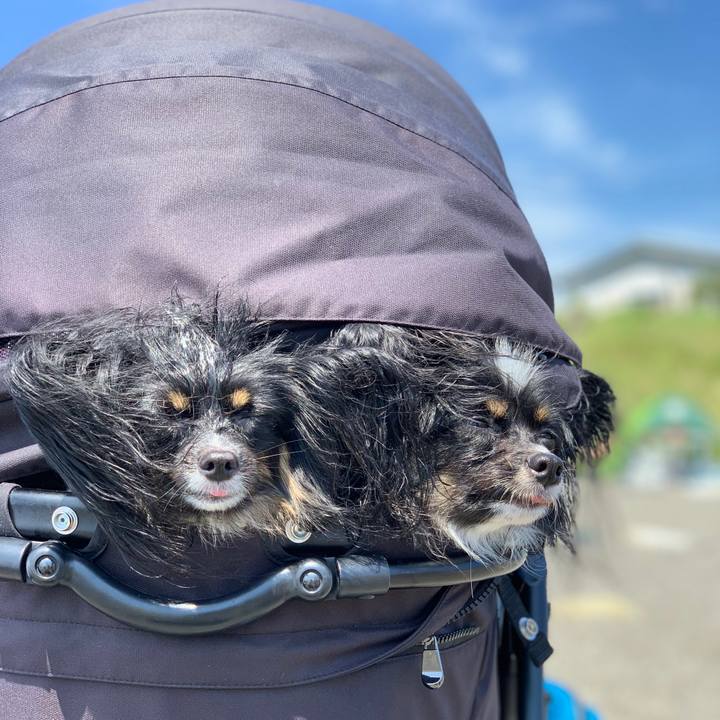 5d5e5790 69f1 4bbd a1ca b834955d22af 1567315194157