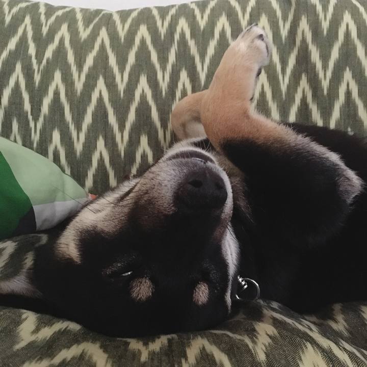 5d5e6313 7fd7 41af b17c a5cbdfa36b29 1520957005199