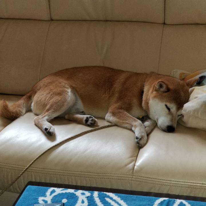 5d5edbeb 9430 423a 9bc5 da226859e27f 1565752617738