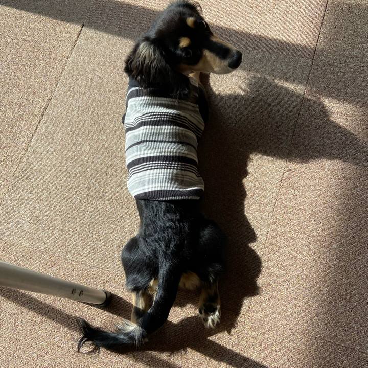 5d5eeade ed62 4628 9693 8571e57b45a1 1674529925872