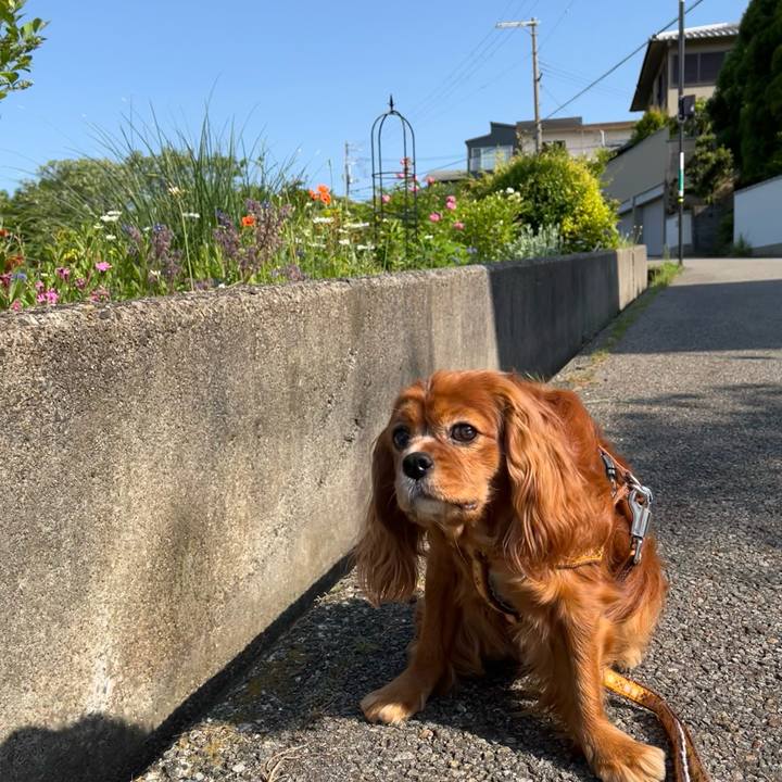 5d5f31f6 4ef9 4822 899f 940d023fcca7 1651974965146