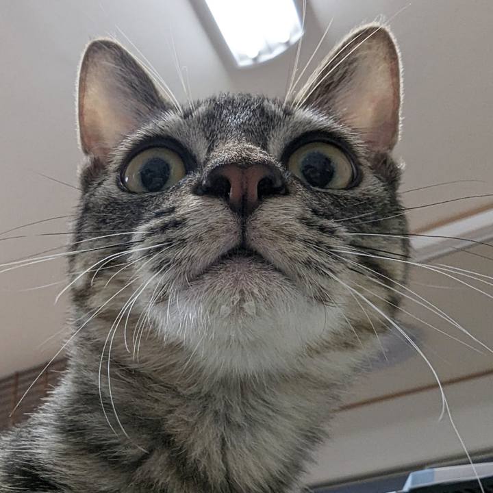 5d5f81c9 632e 474d b290 8133d956d0ca 1708400797869