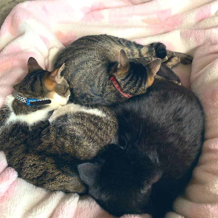 5d5f84ee 804e 4c58 9a45 5de9ef6e813d 1555459577123