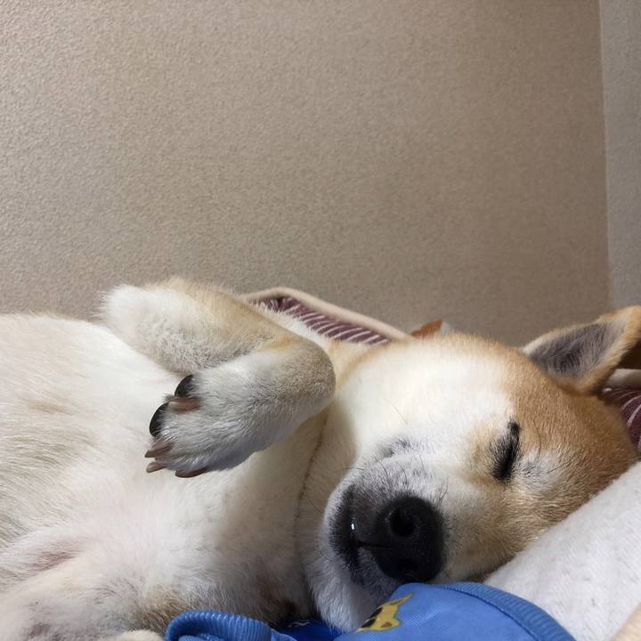 5d5ff04e 60be 40fb 9ce2 76f838665ddf 1561079158914