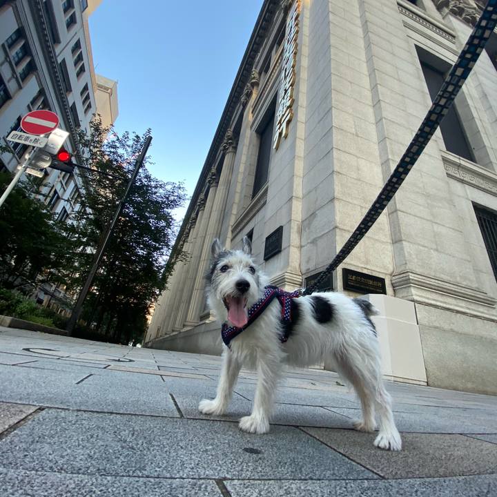 5d600f76 5656 437b a5ee 9c0ccfe7b4de 1599306407853