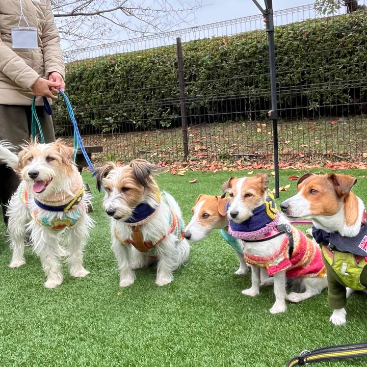 5d601a91 845d 4a14 b481 1b6c8bd80aea 1763885510959