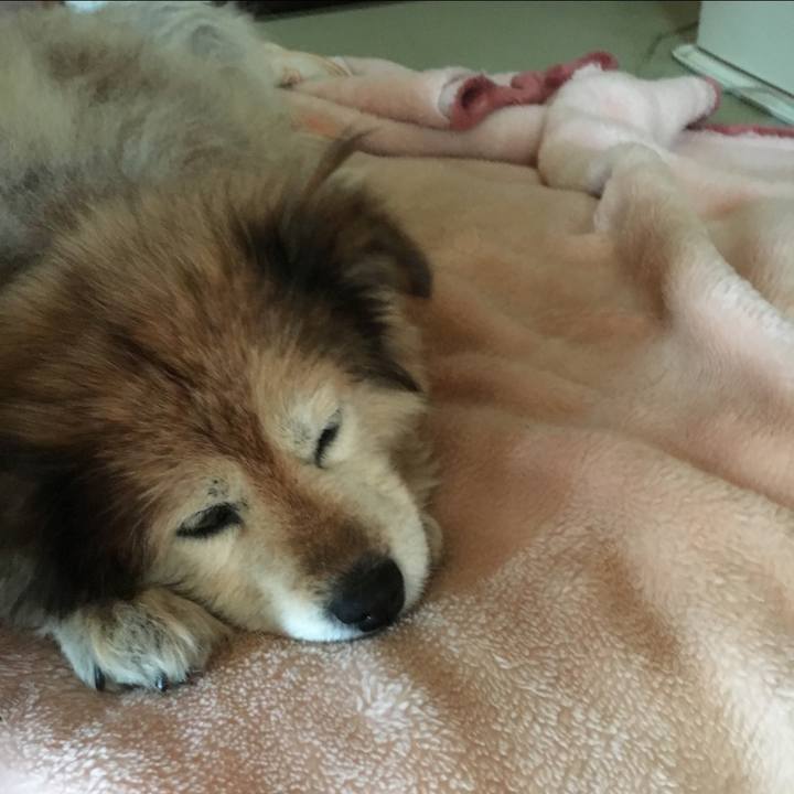 5d604d0e 6f73 4a48 a9ba 6791c6c8fa91 1576572645834