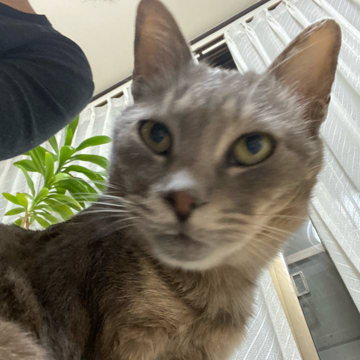 5d606e38 5a1d 41c2 b3f7 3b389b58ea08 1584373534160