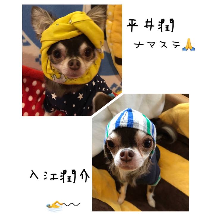 5d606f3f d5a6 4862 a1e4 1e778aaab72d 1508631331944