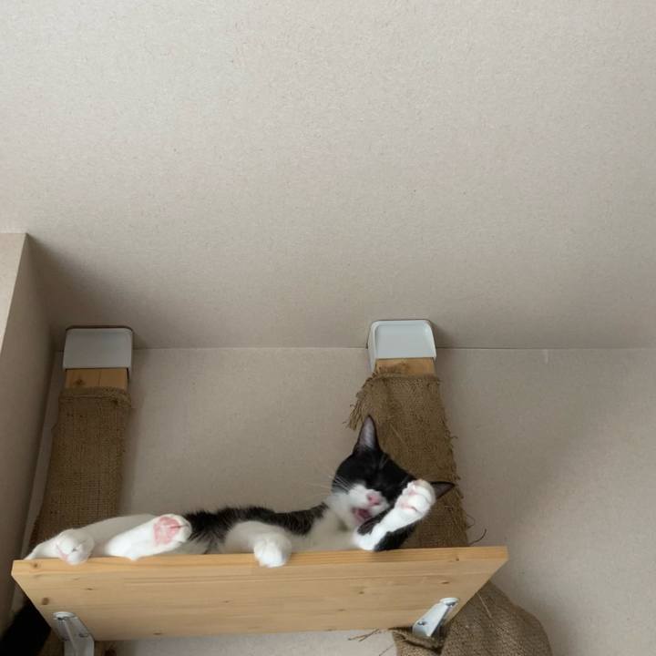 5d60811e 6470 4841 903c cdfe0df3e7d5 1624276547931