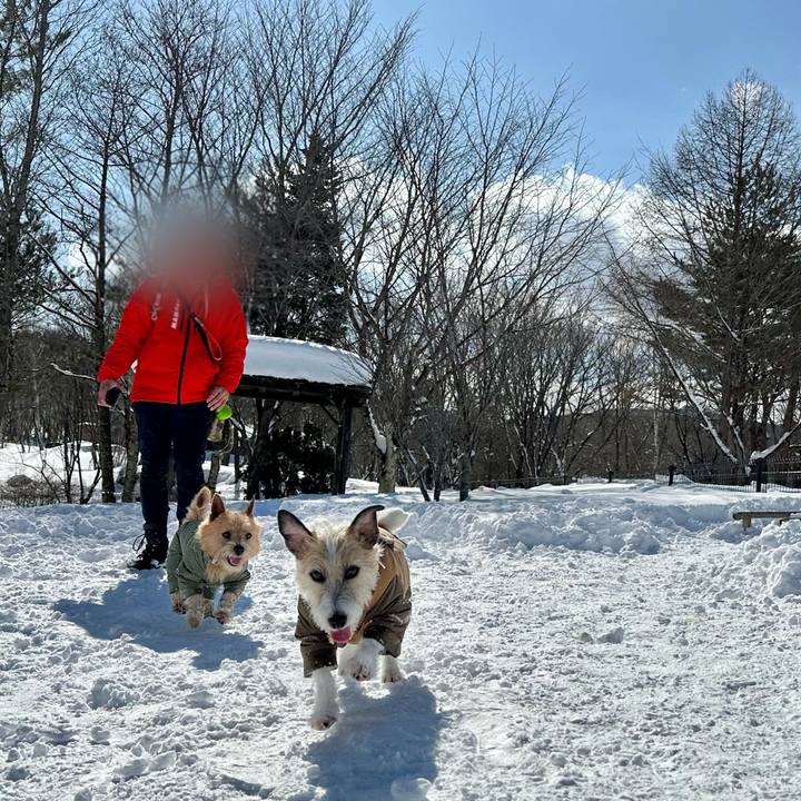 5d6091d7 61f3 48dd b357 5e1d232f5442 1739978510753