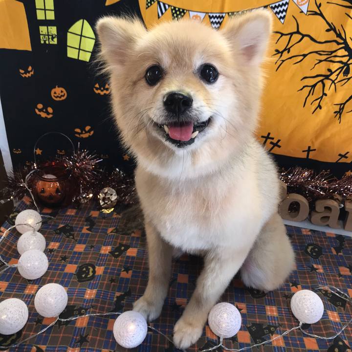 5d60a00b 58d9 4a3e a9c1 273c9f62639f 1635346577998