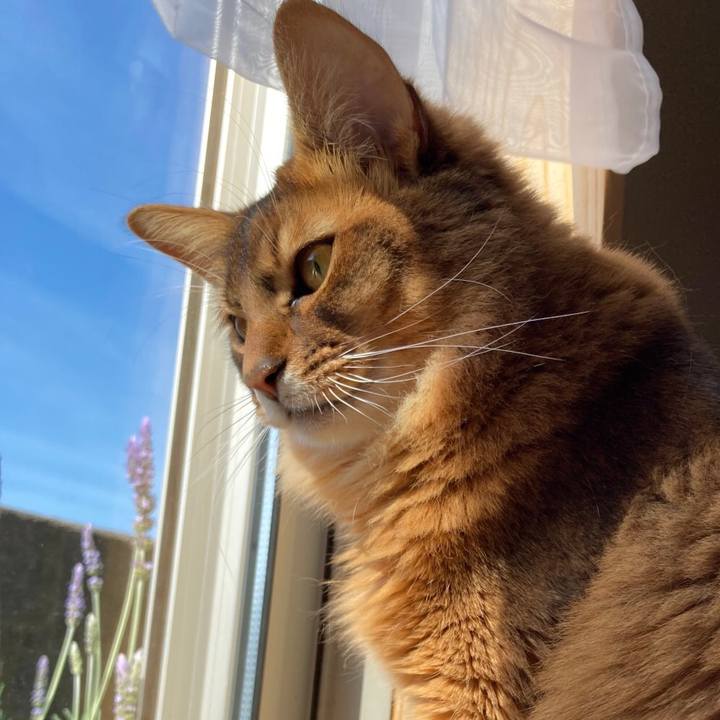 5d60be73 a36a 4d32 b749 a994fed3520c 1618446189338