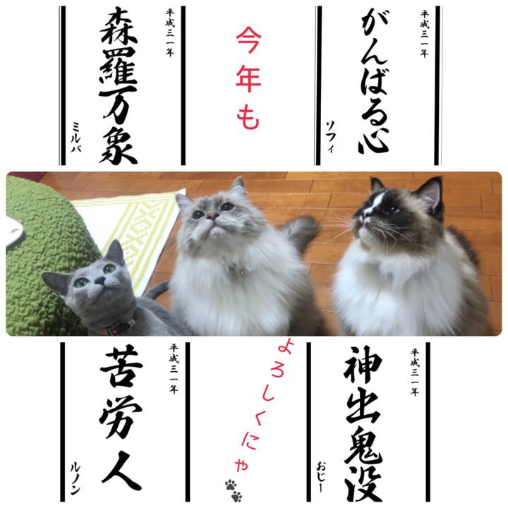 5d60ca2e 5830 4213 8521 787acaddb35e 1546417414962