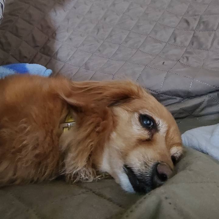 5d60dac9 fef3 4320 9ee7 ce60b3e93582 1653194453540