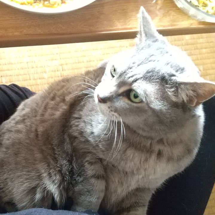 5d613ea7 3b6b 44df b218 a1102055a82b 1648956727512