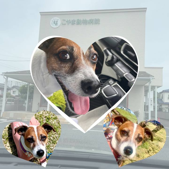 5d6157e3 038a 4072 b9da 6a2a6cf9d893 1747277136308