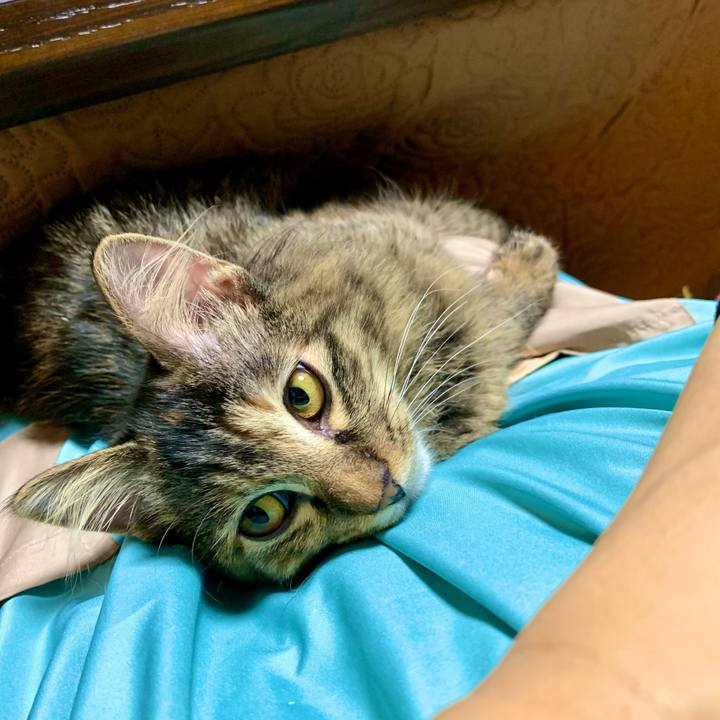 5d615823 8b37 4105 ac19 4a3ba7b18215 1643274523623