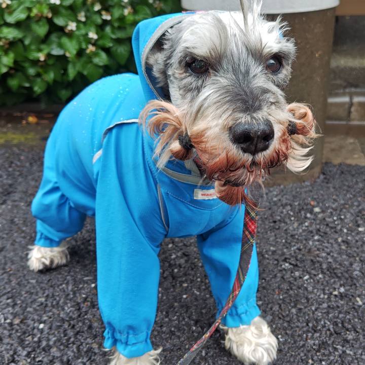 5d61c854 26e4 4fae ab6d a8fe3a3f3540 1759209235416