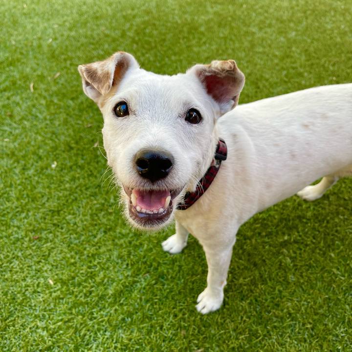 5d61d381 9b7f 4d73 9a69 1b756fe3b604 1666301913530