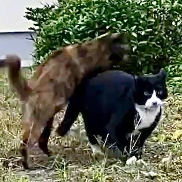 5d620664 39f6 4343 af87 22ba95746336 1729927811738