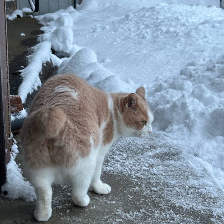 5d621786 e2e1 488d 8d7d 86084e8c6938 1764886236978