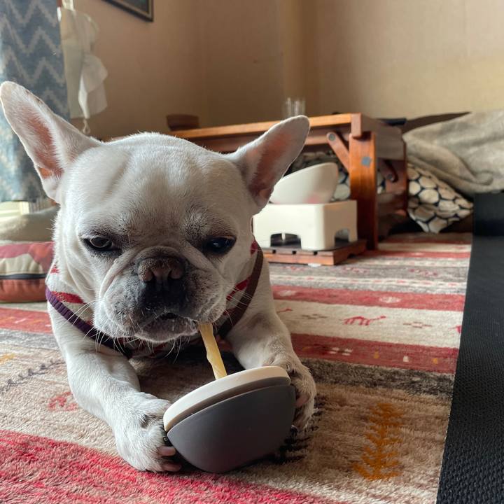 5d6225ab 07e0 4c48 9dc1 df966f5e2d1e 1739668436182