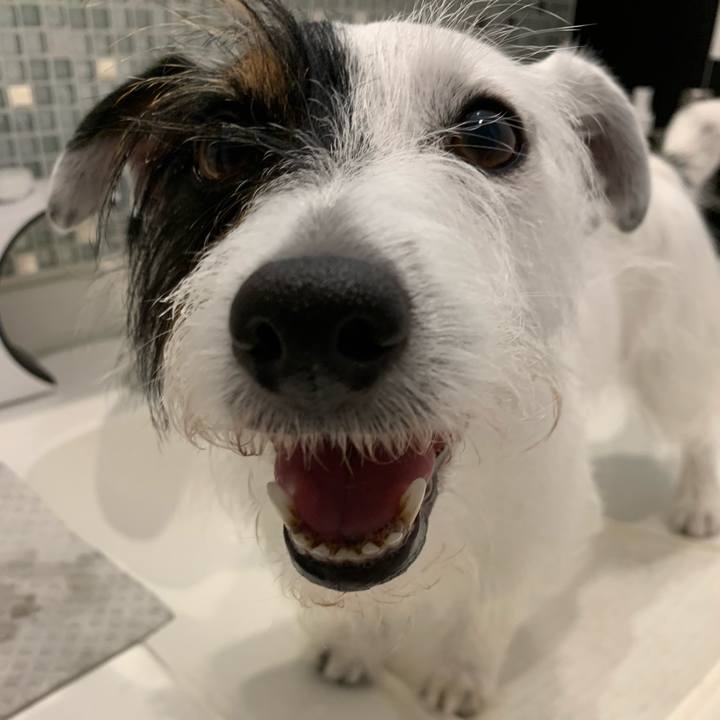 5d62377e 1f8a 4685 ae6e f68372326bfc 1627688117683